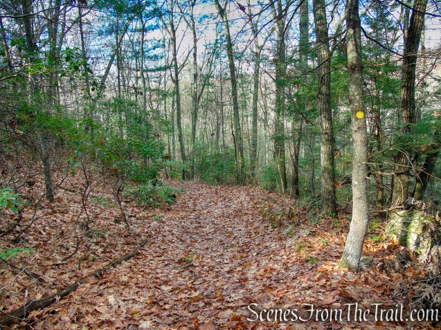 Van Sinderen Loop Trail - Hidden Valley Preserve