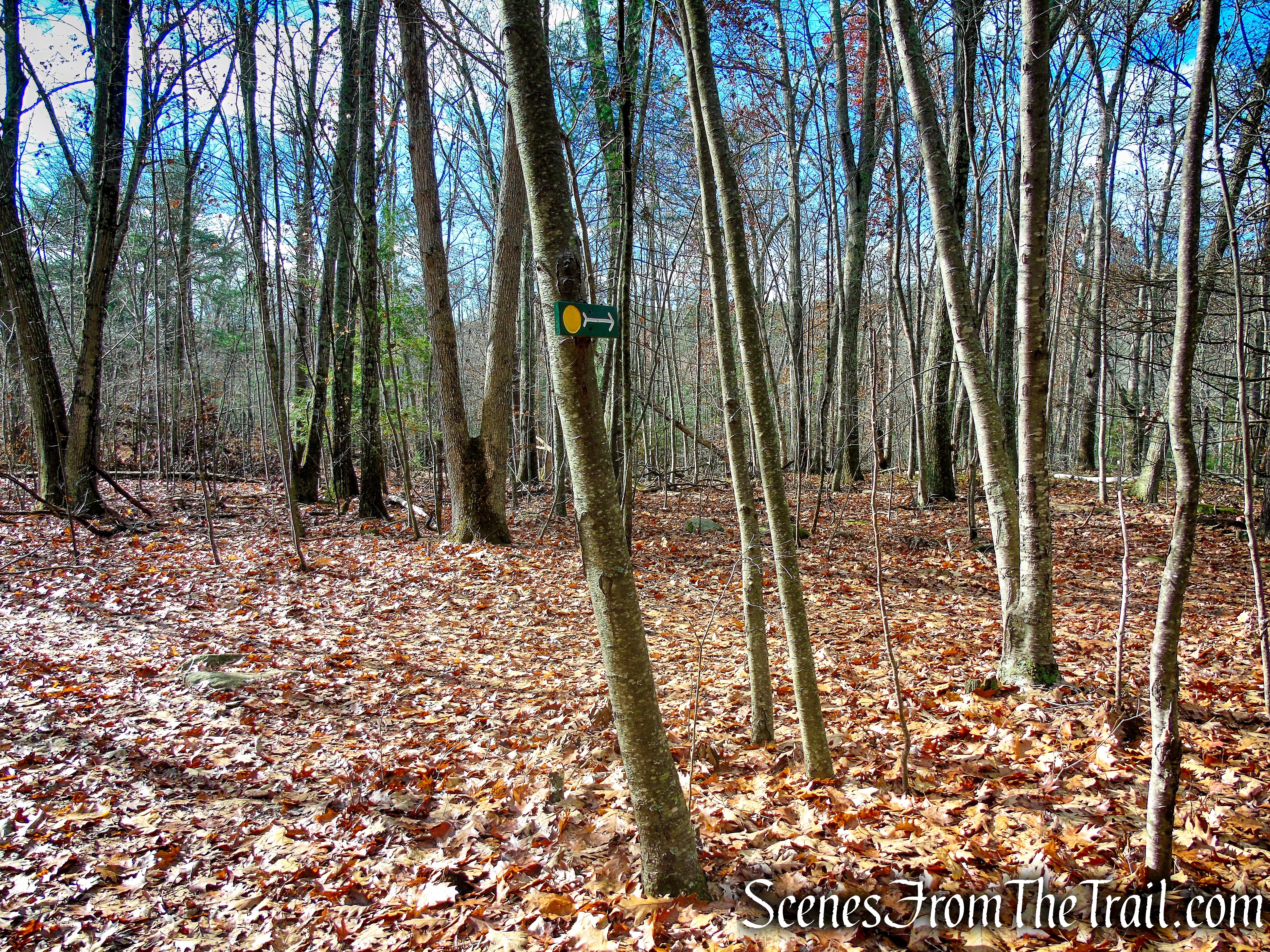 Van Sinderen Loop Trail - Hidden Valley Preserve