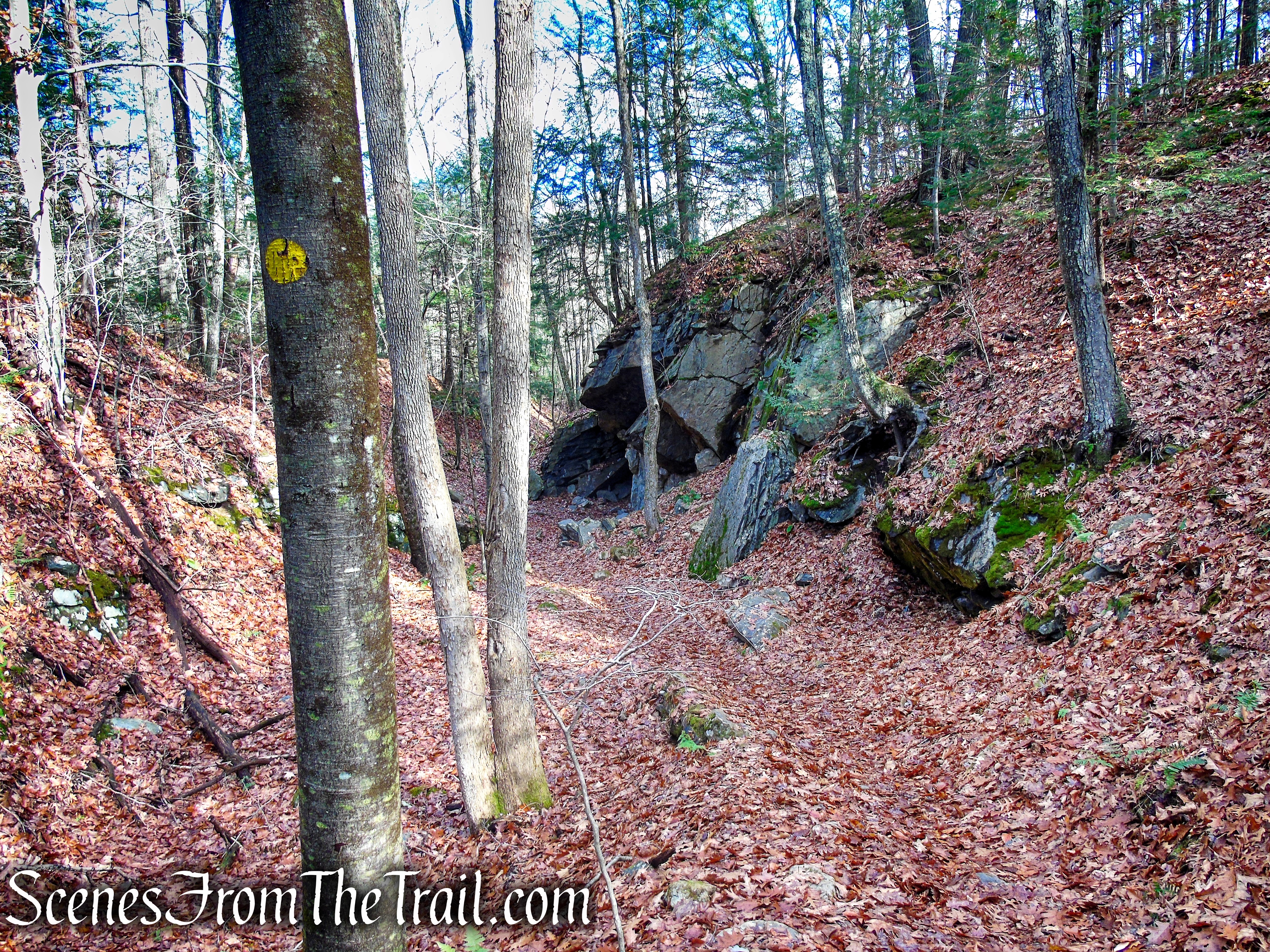 Quartz Mine - Van Sinderen Loop Trail