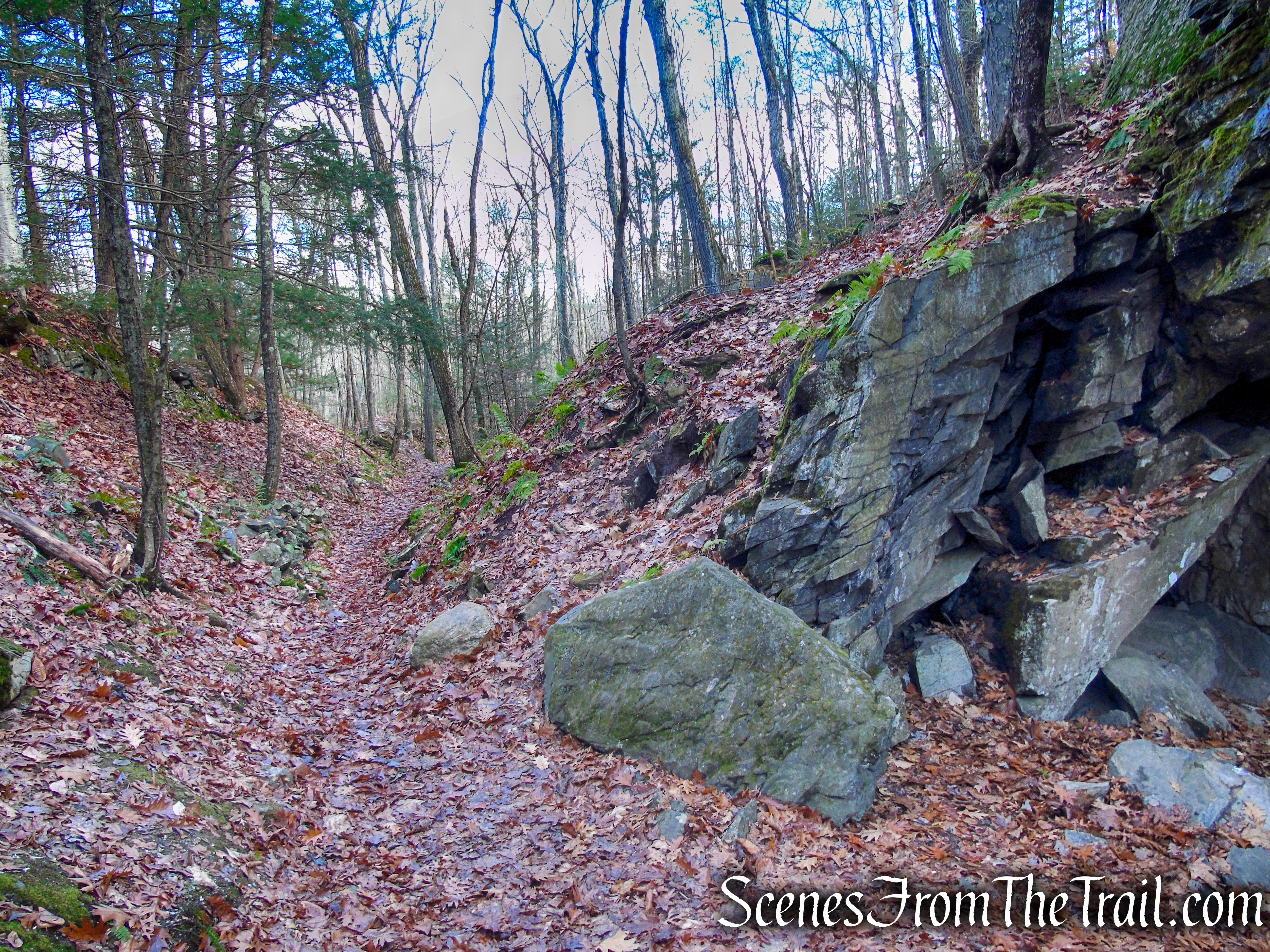 Van Sinderen Loop Trail - Hidden Valley Preserve