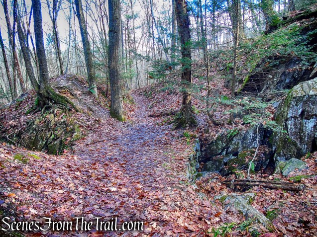 Van Sinderen Loop Trail - Hidden Valley Preserve