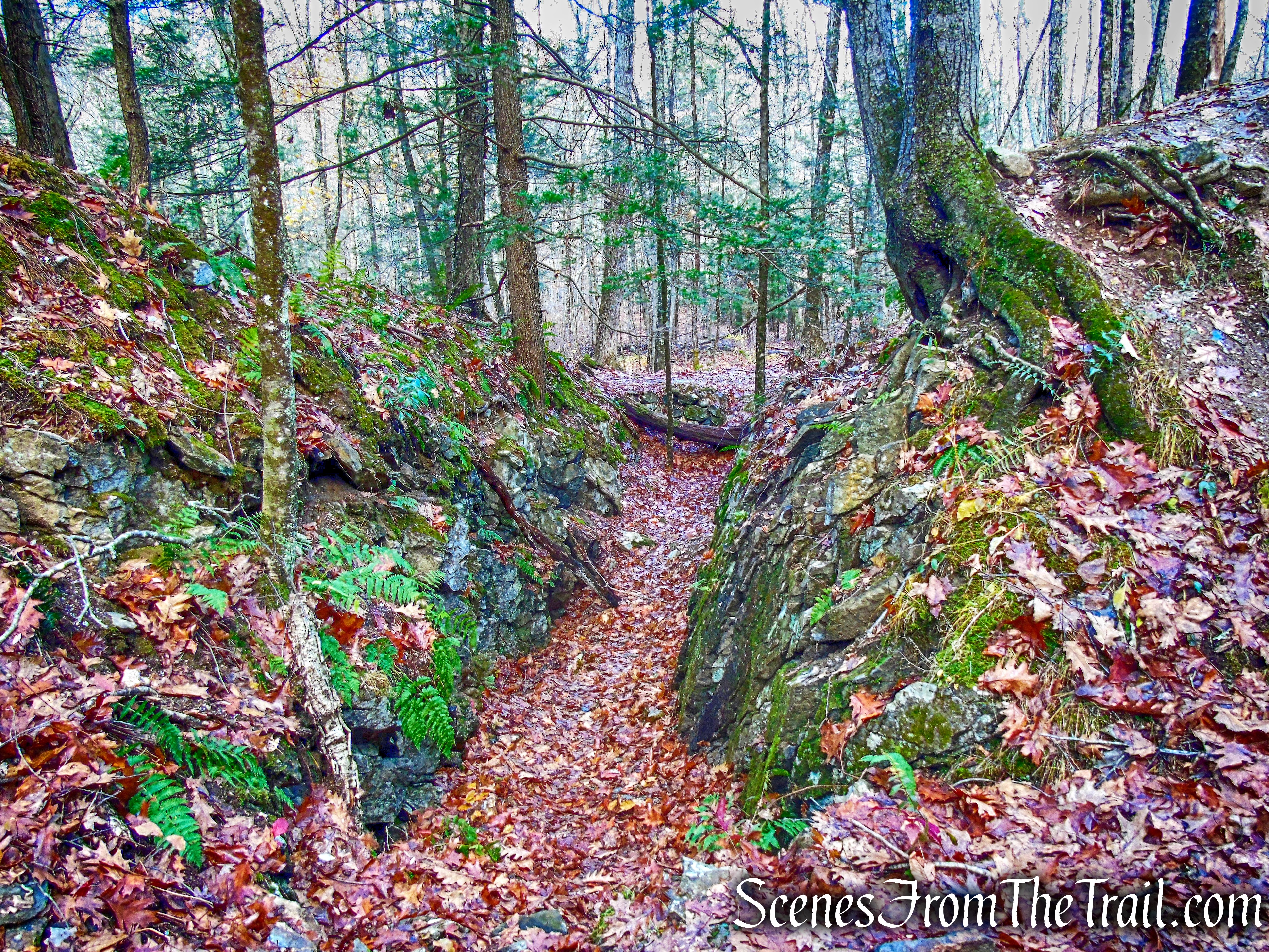 Van Sinderen Loop Trail - Hidden Valley Preserve