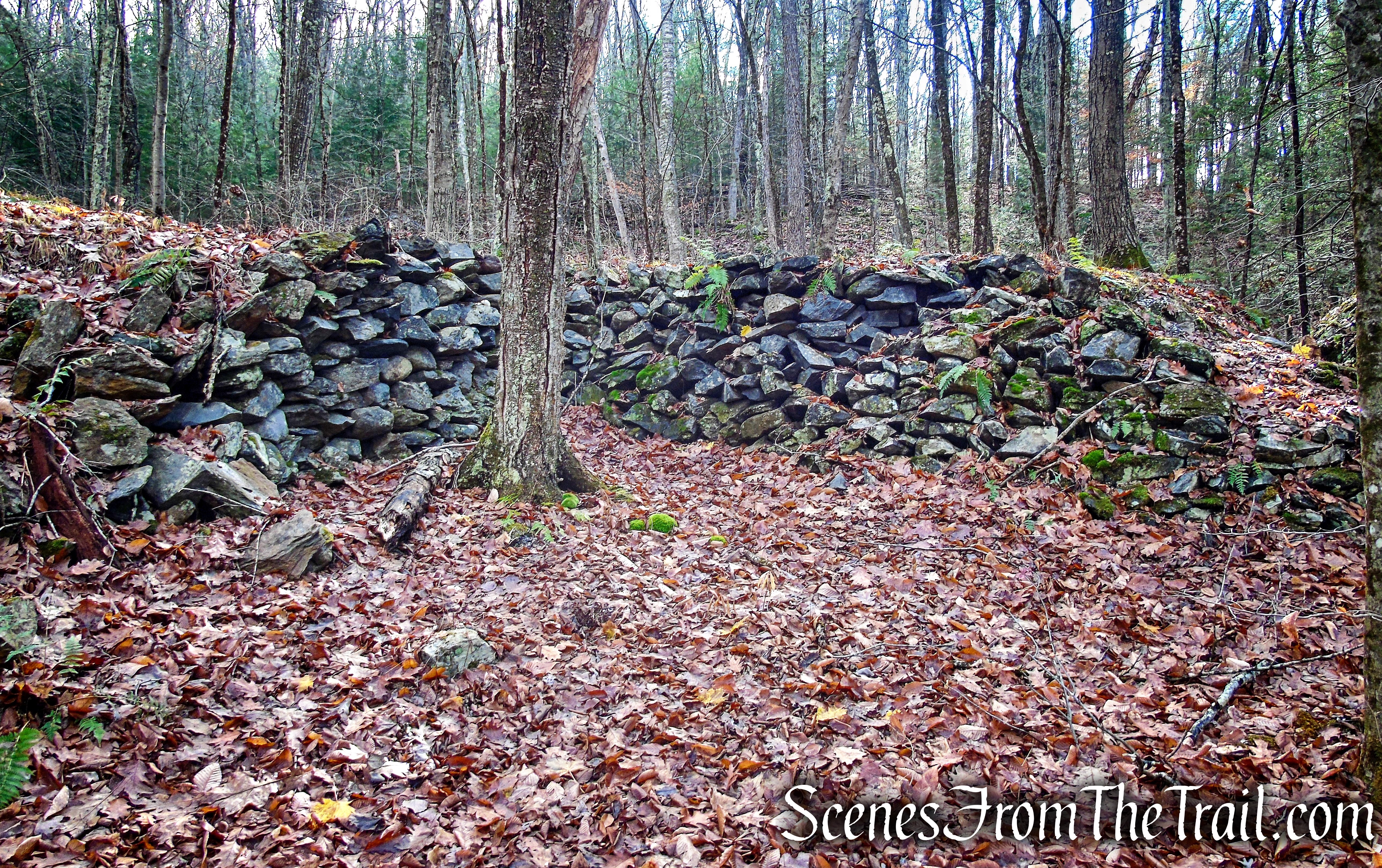 Van Sinderen Loop Trail - Hidden Valley Preserve