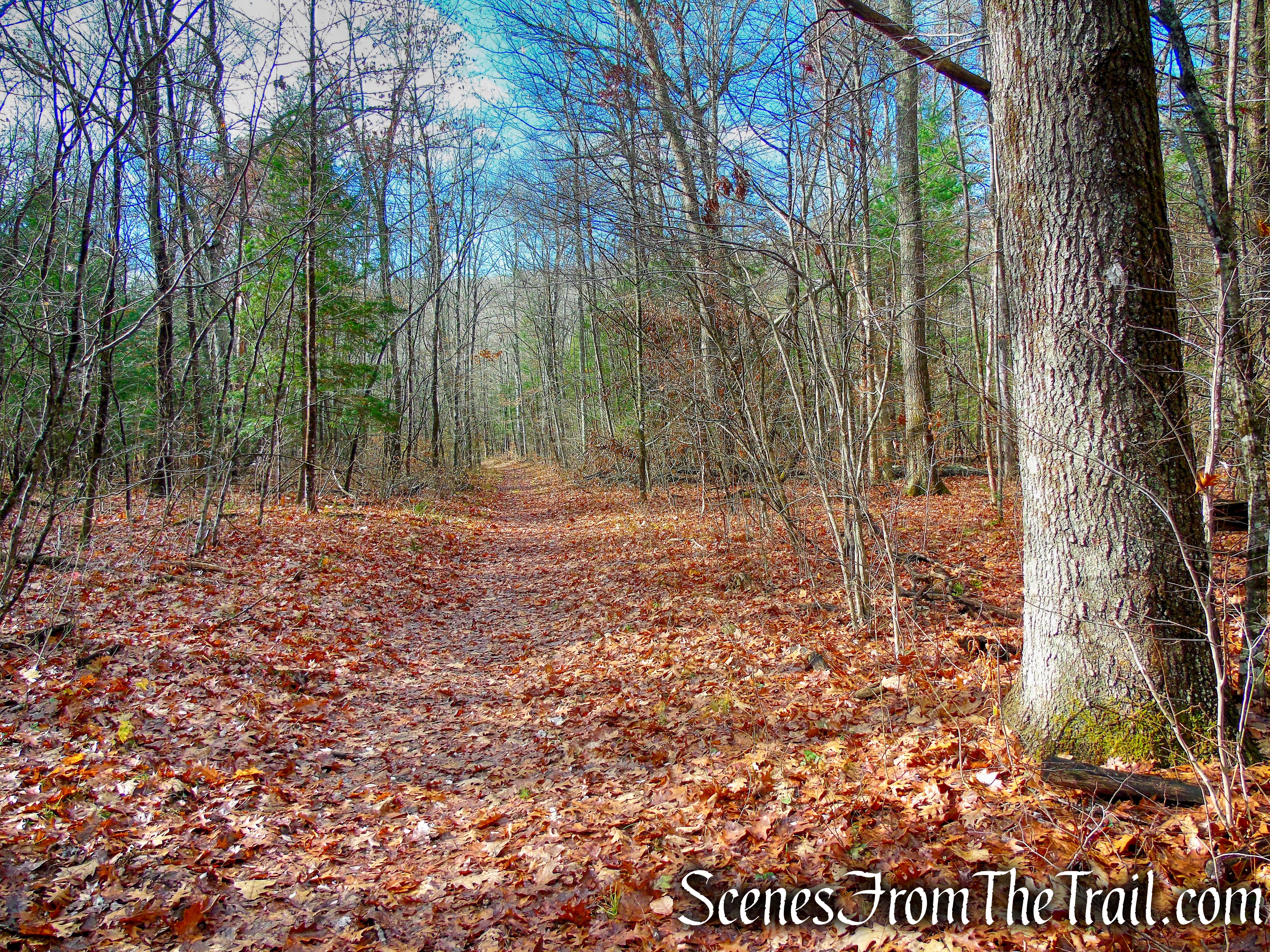 turn left on White Diamond Connector Trail