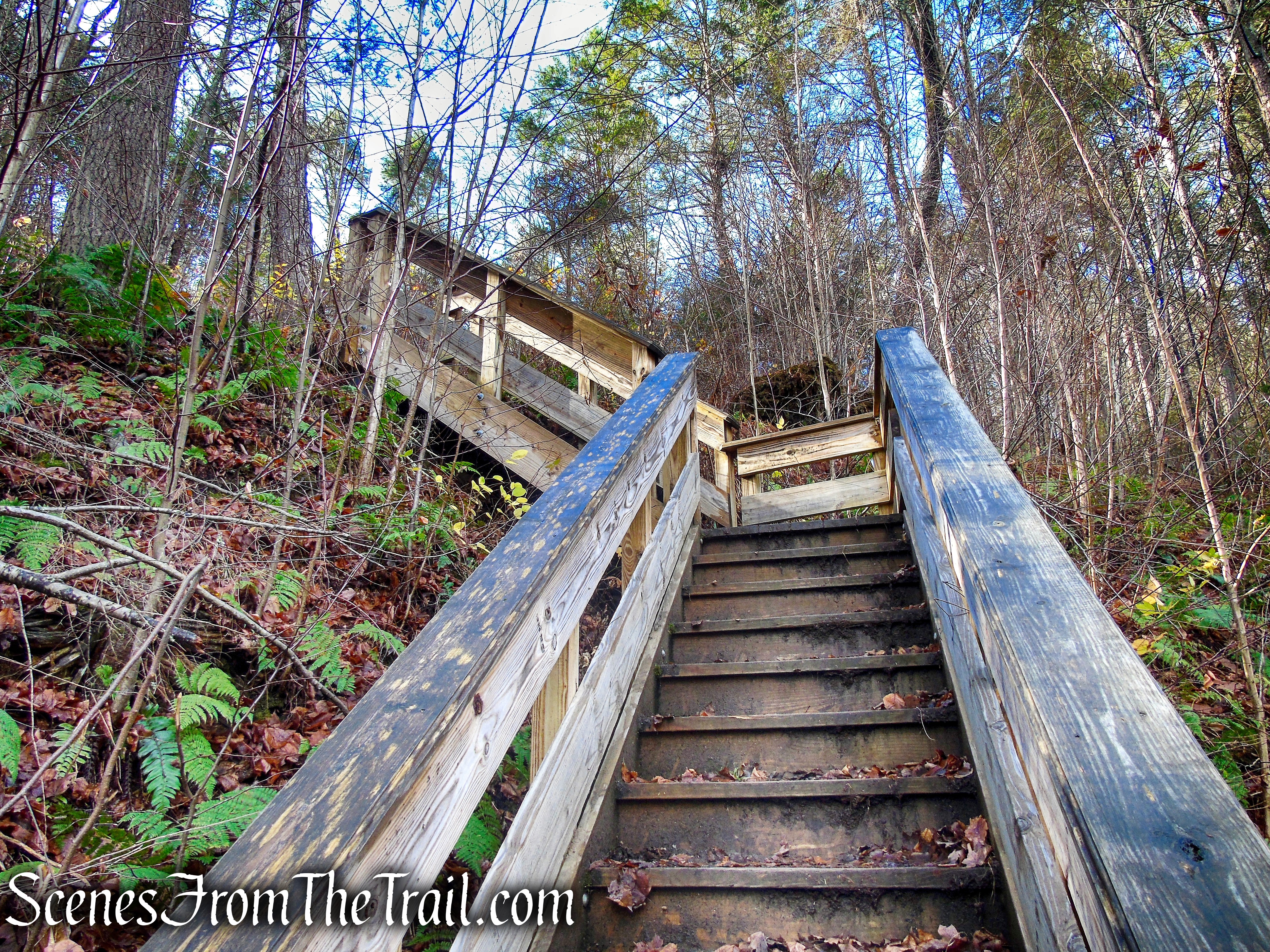Reich Memorial Bridge – Hidden Valley Preserve