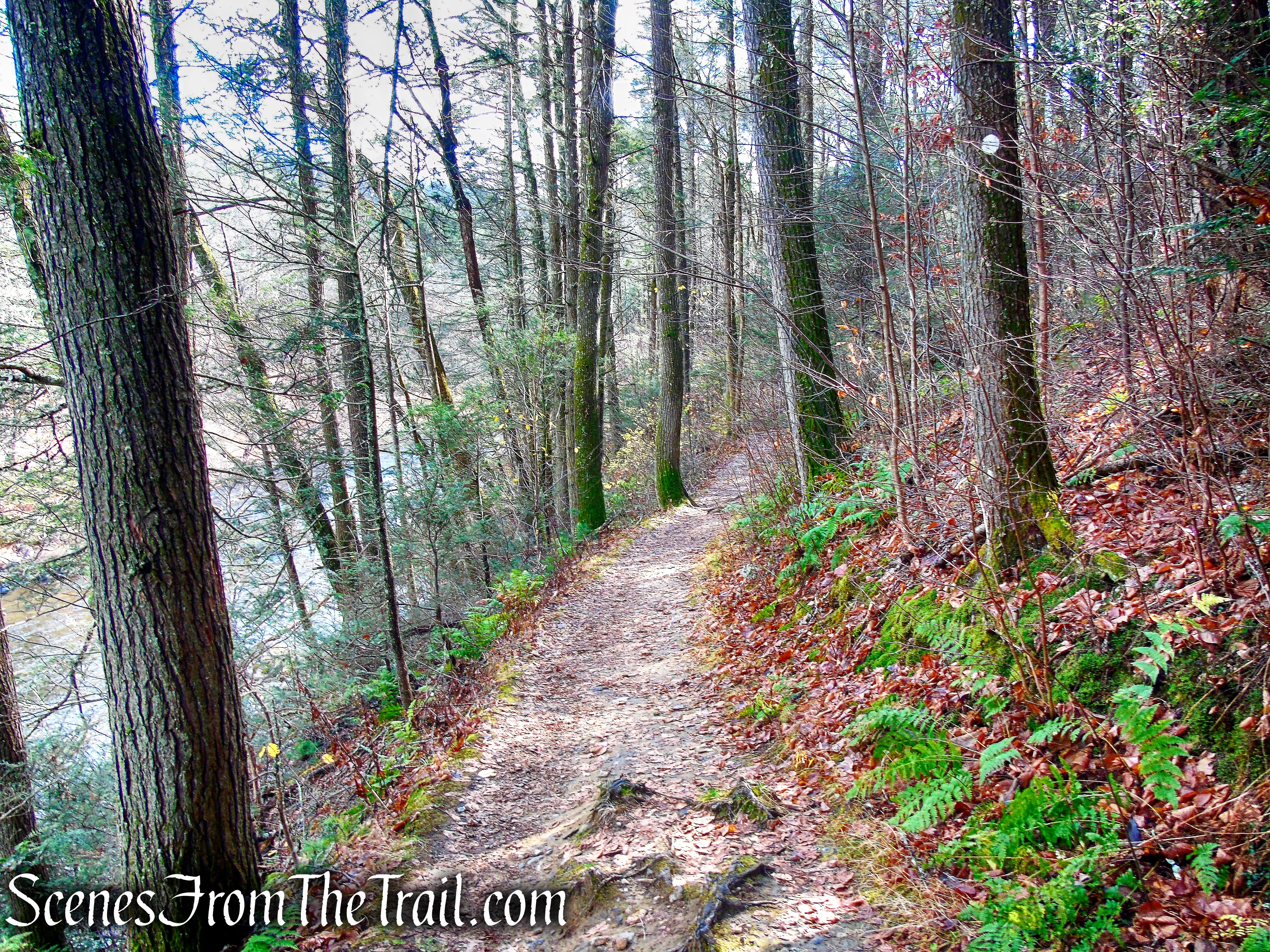 Bee Brook Loop - Hidden Valley Preserve