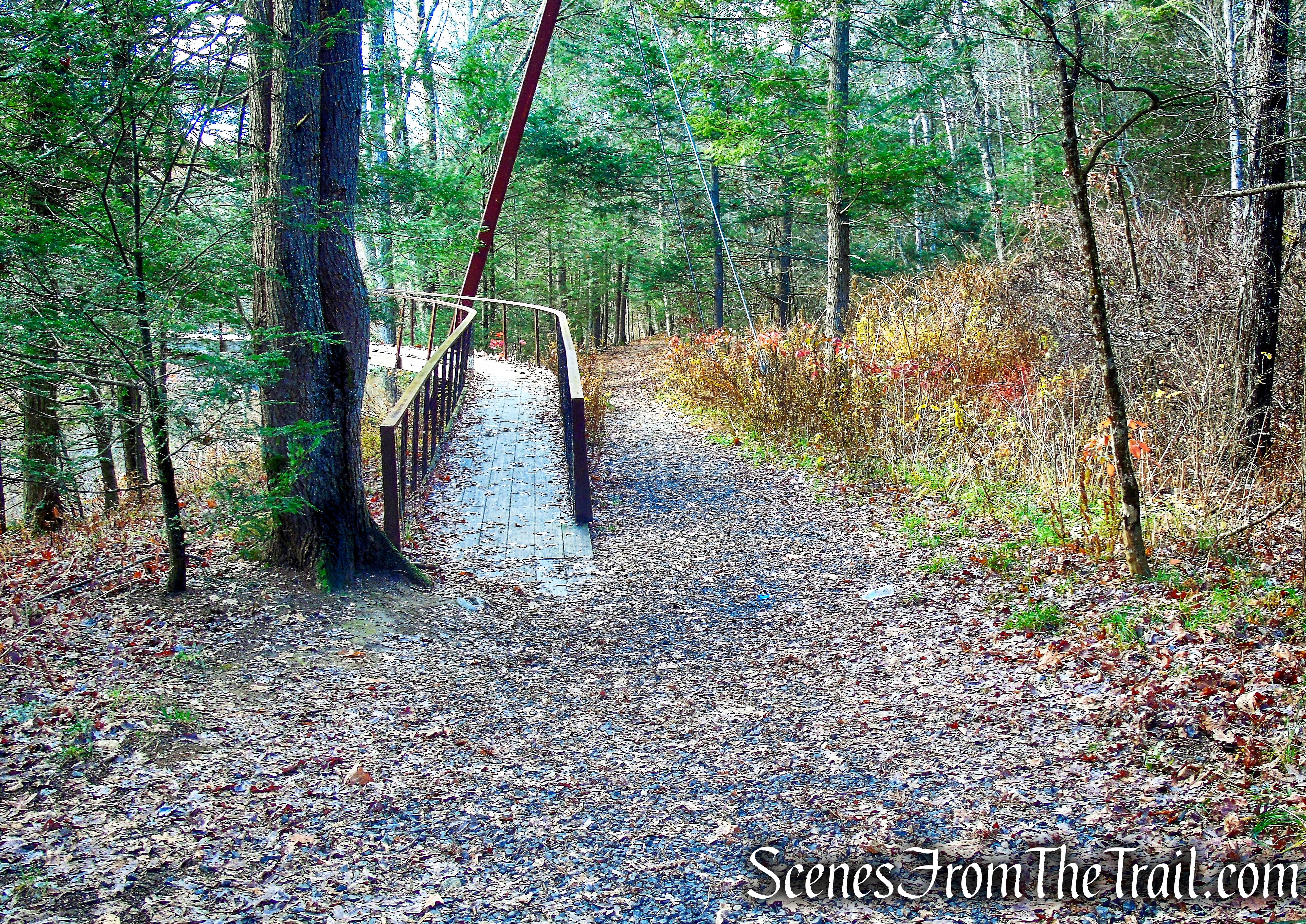 Bee Brook Loop - Hidden Valley Preserve