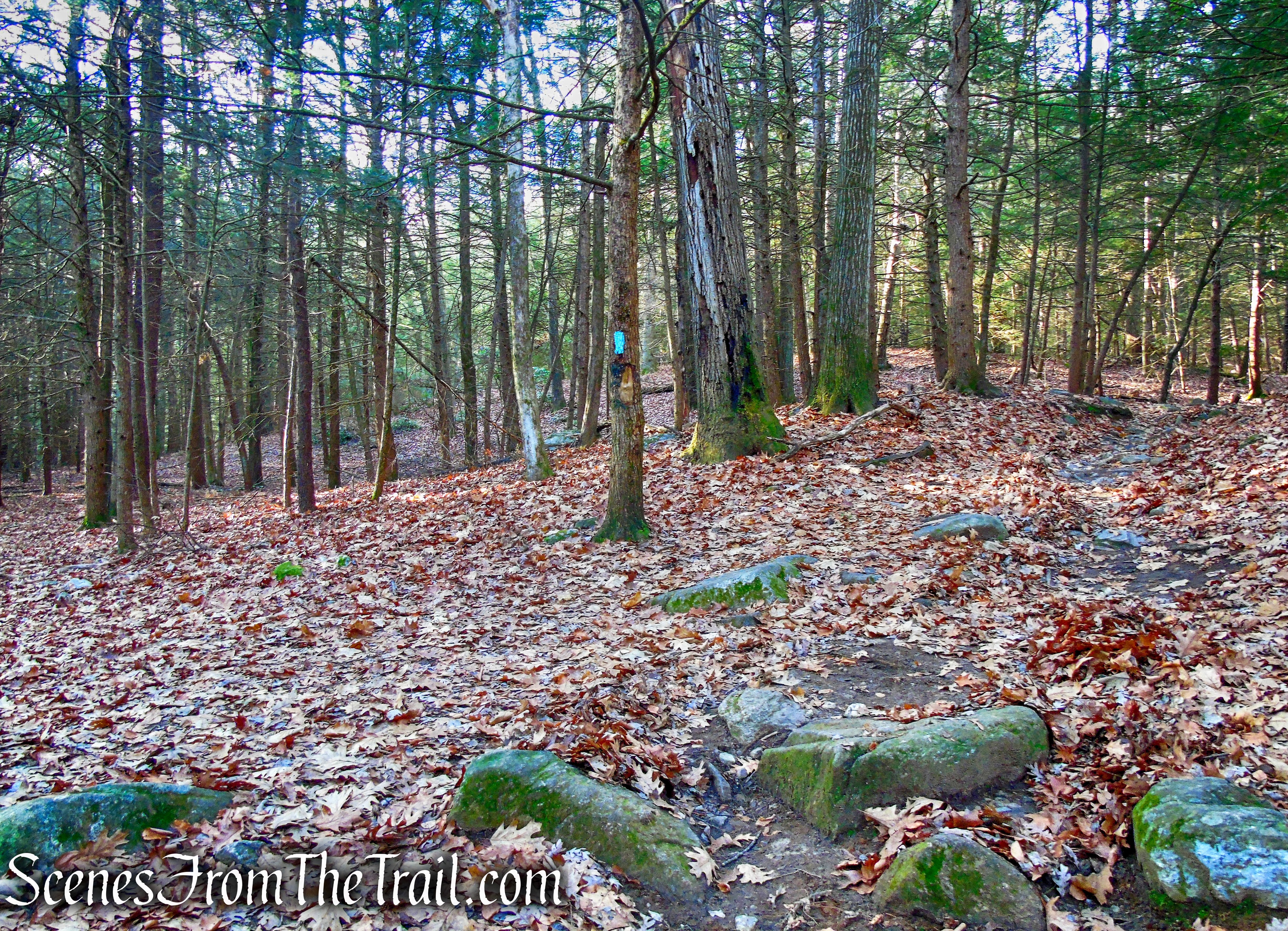 turn sharp left on Mattatuck Trail