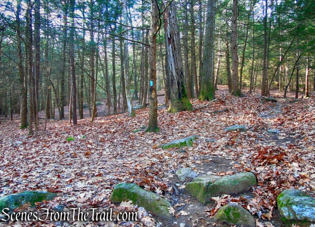 turn sharp left on Mattatuck Trail