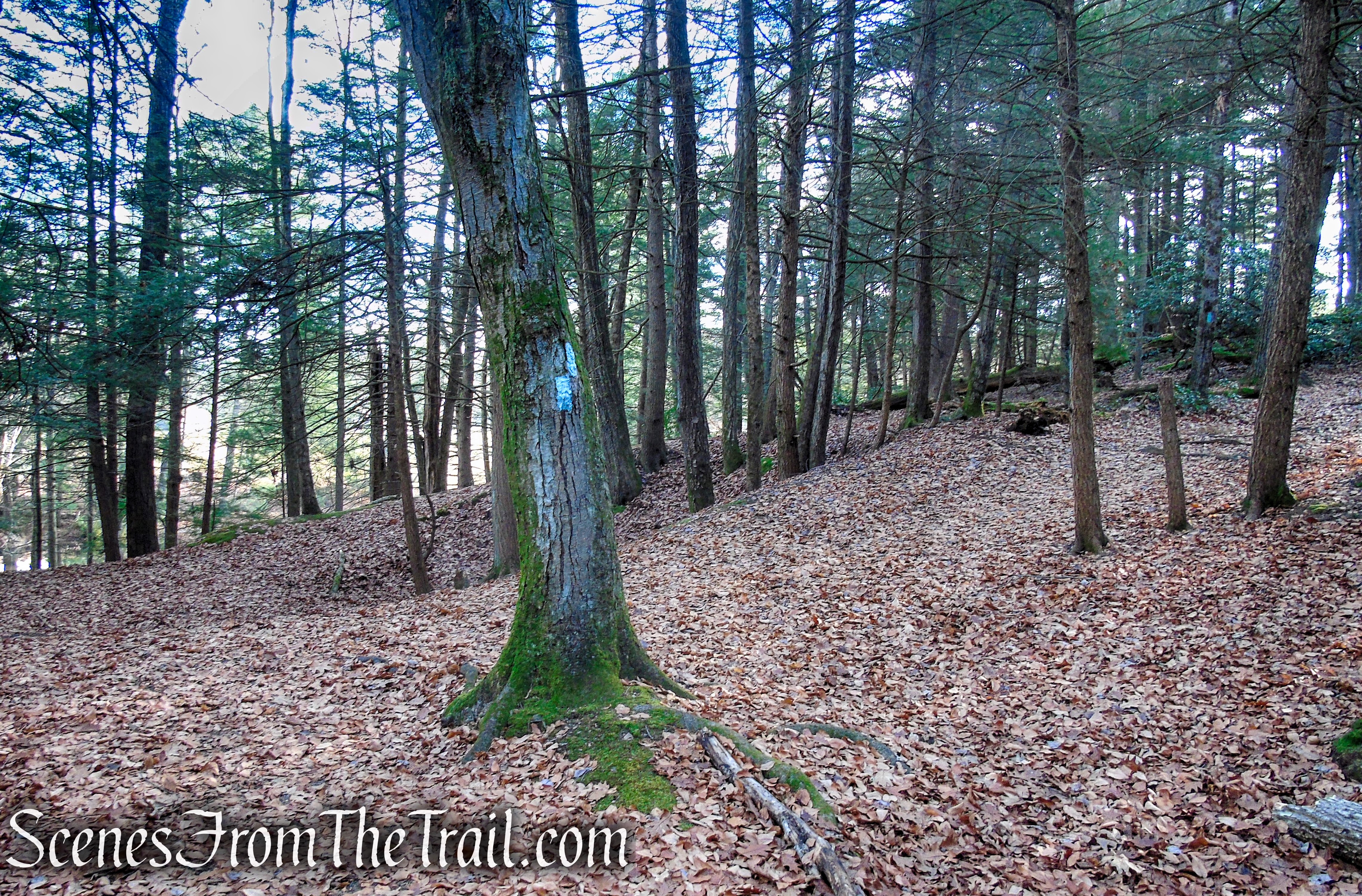 Mattatuck Trail – Black Rock State Park