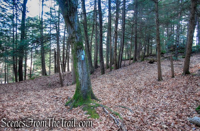 Mattatuck Trail – Black Rock State Park