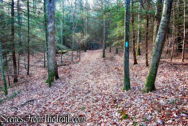 Mattatuck Trail – Black Rock State Park