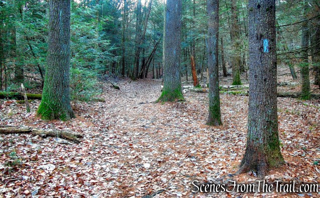 Mattatuck Trail – Black Rock State Park