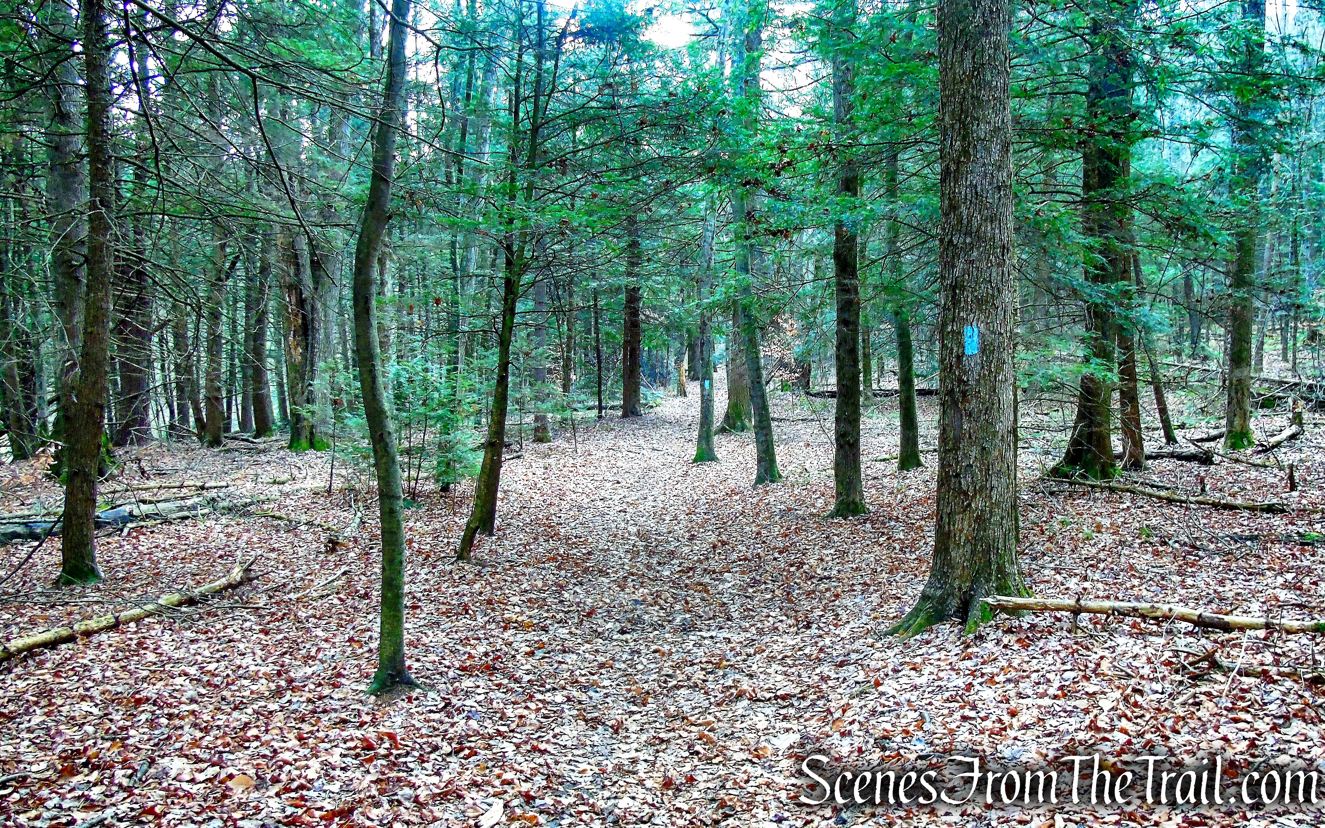 Mattatuck Trail – Black Rock State Park