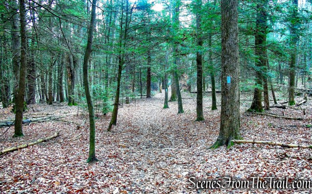 Mattatuck Trail – Black Rock State Park