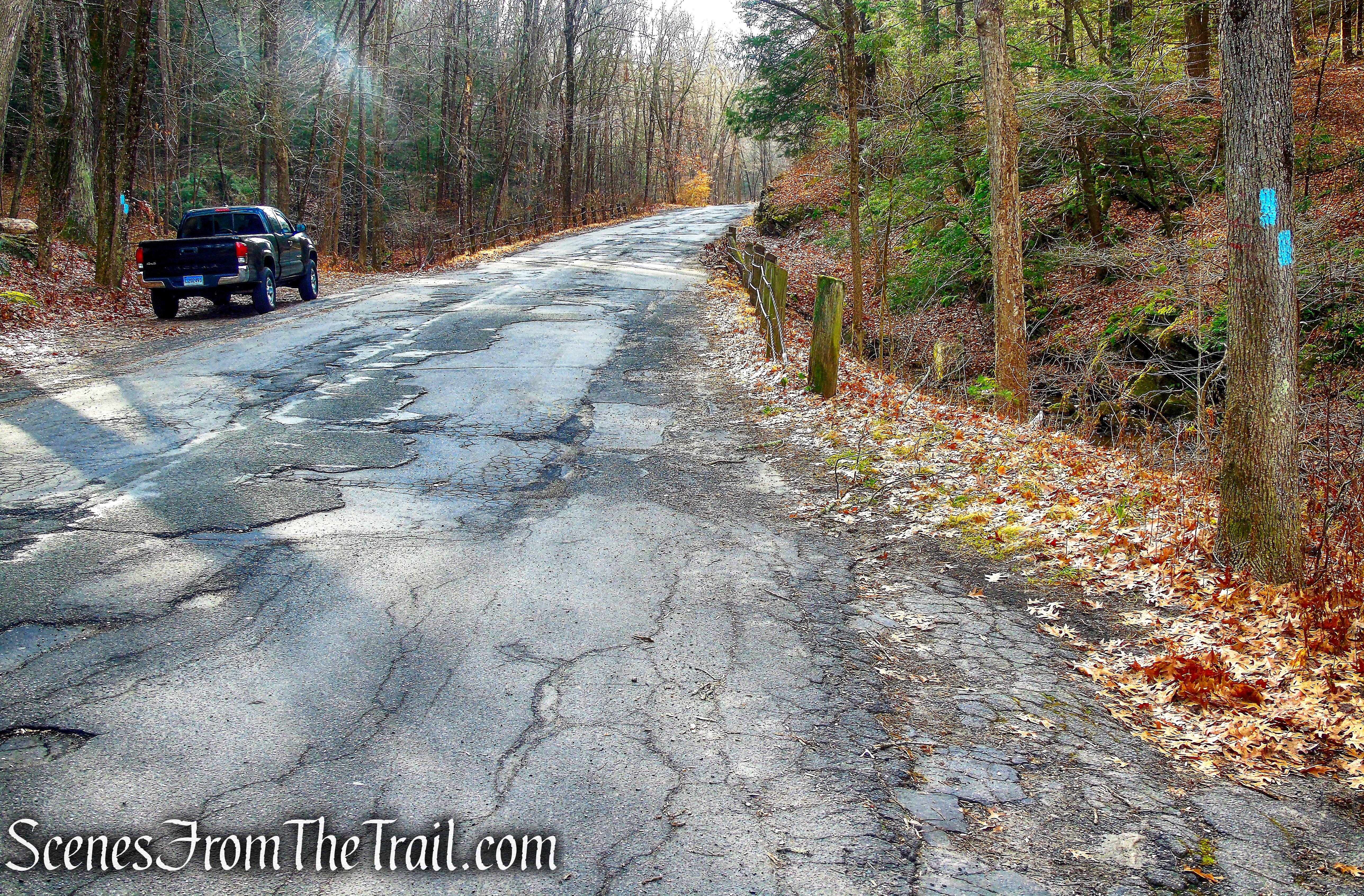 Mattatuck Trail – Bidwell Hill Road