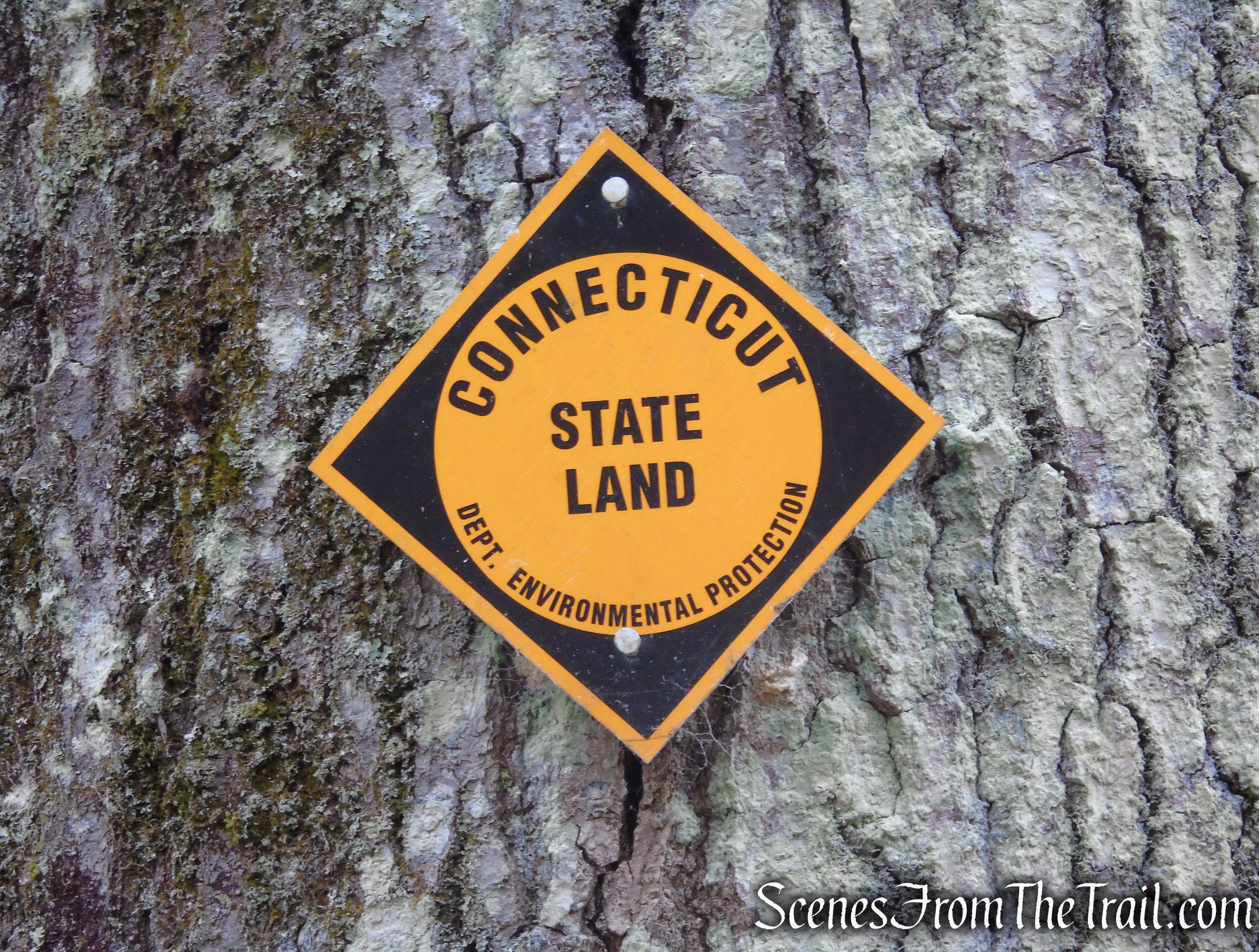 Mattatuck State Forest