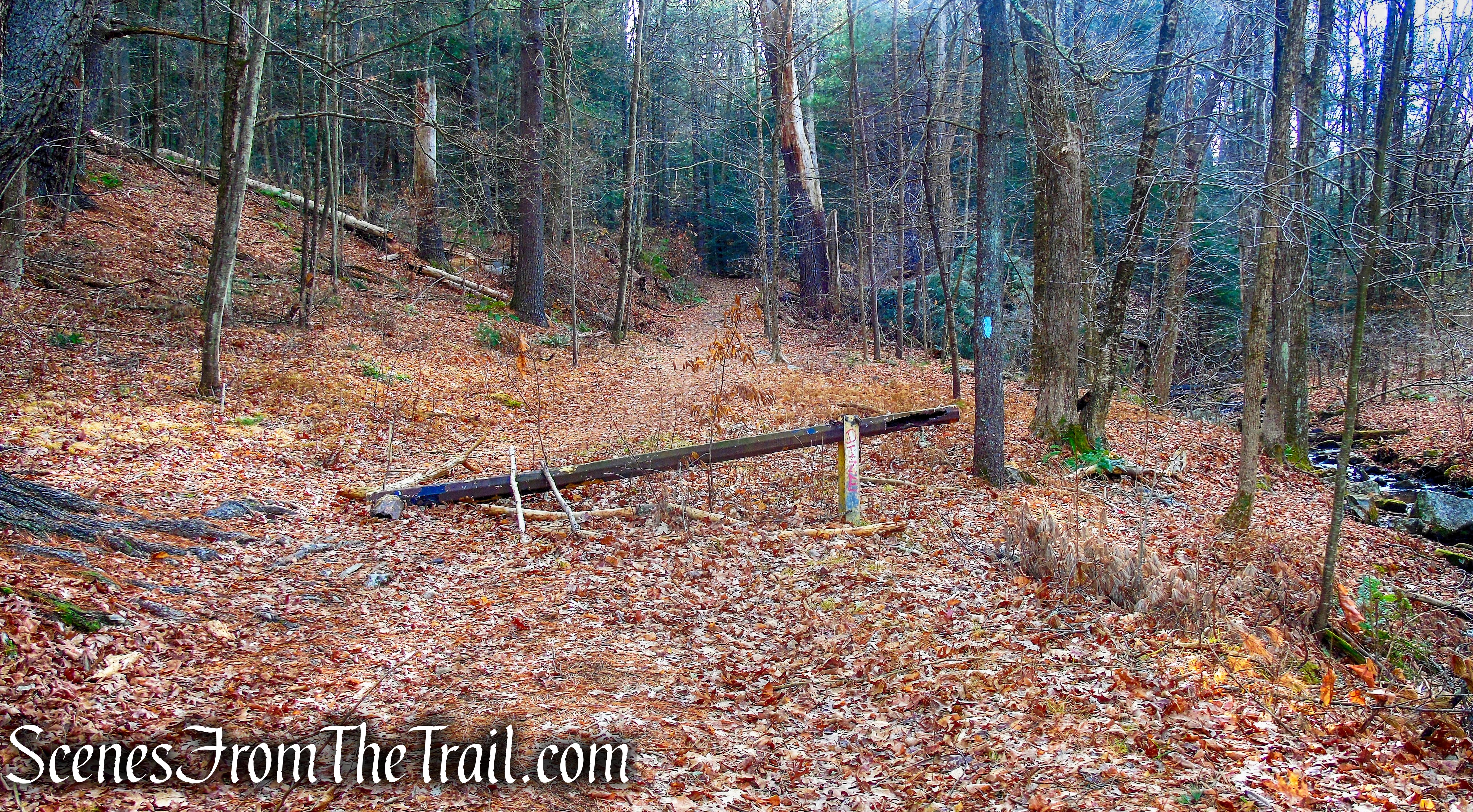 Mattatuck Trail – Mattatuck State Forest