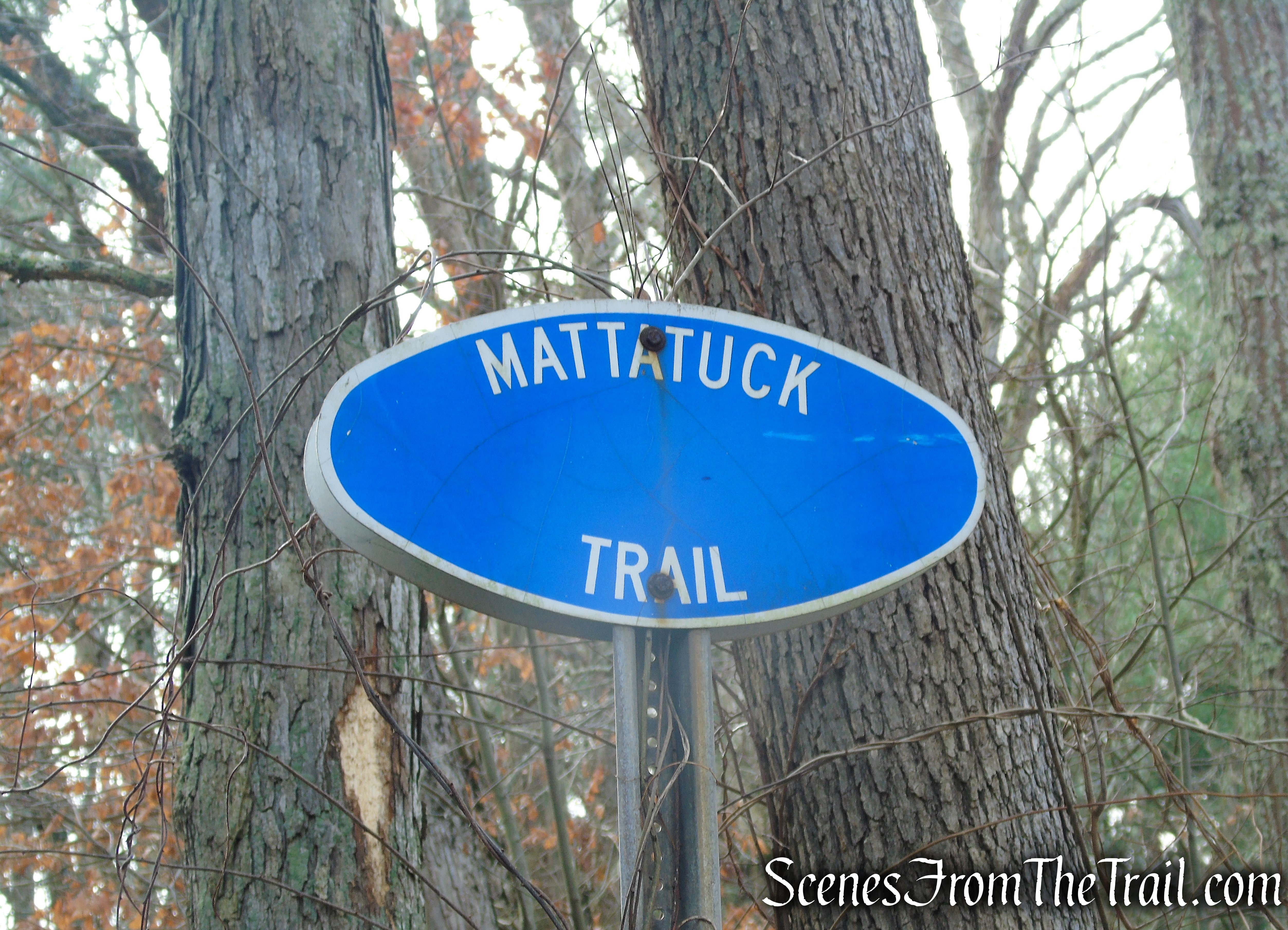 Mattatuck Trail - Mattatuck State Forest