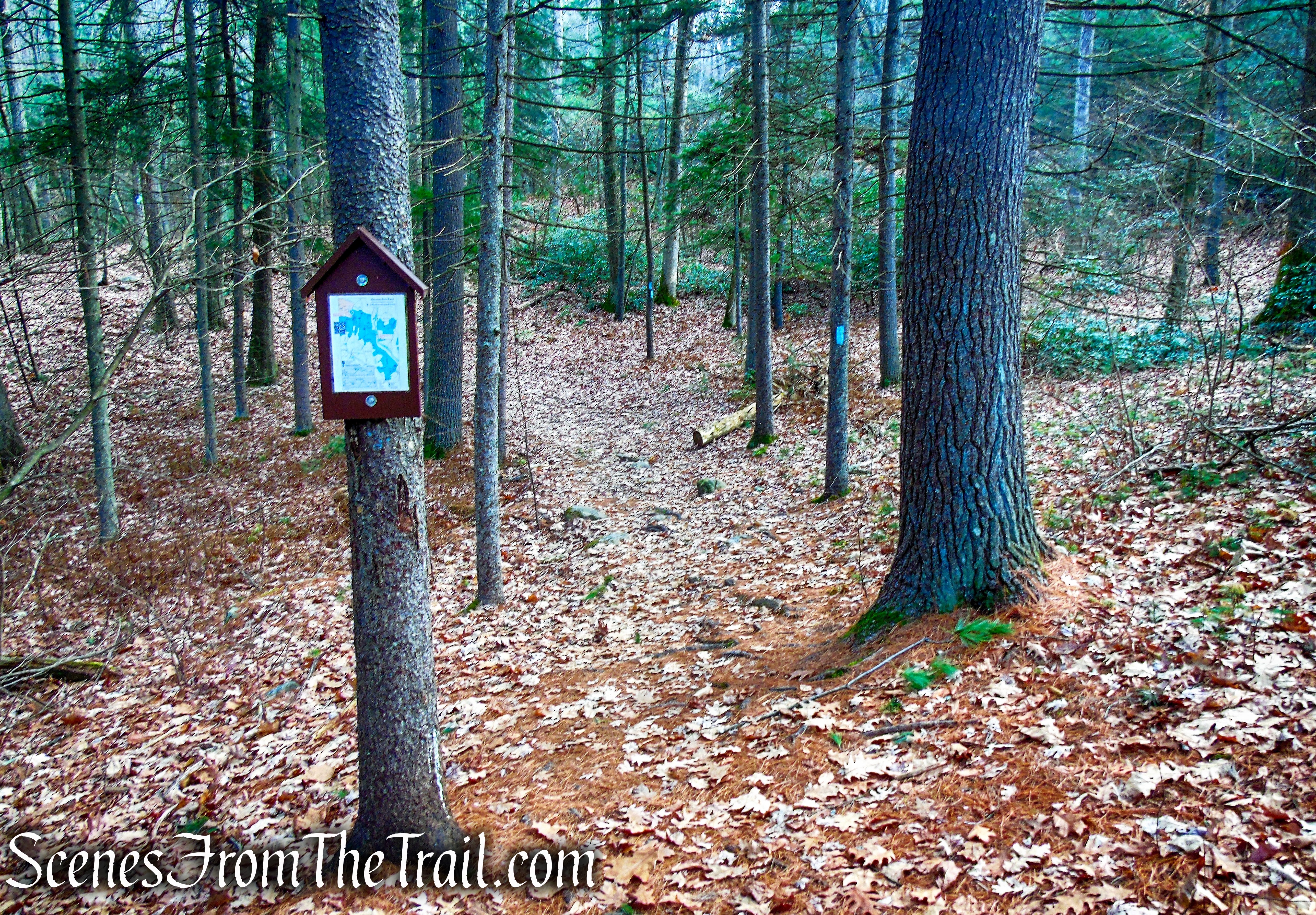 Mattatuck Trail – Mattatuck State Forest