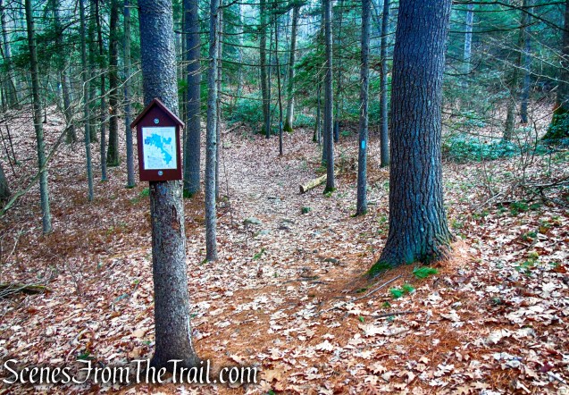 Mattatuck Trail – Mattatuck State Forest