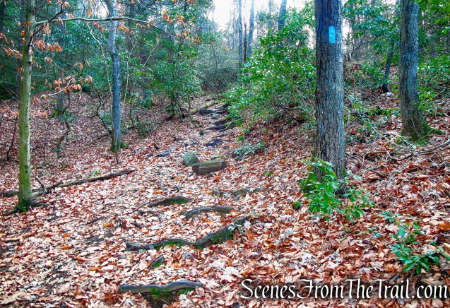 Mattatuck Trail – Mattatuck State Forest