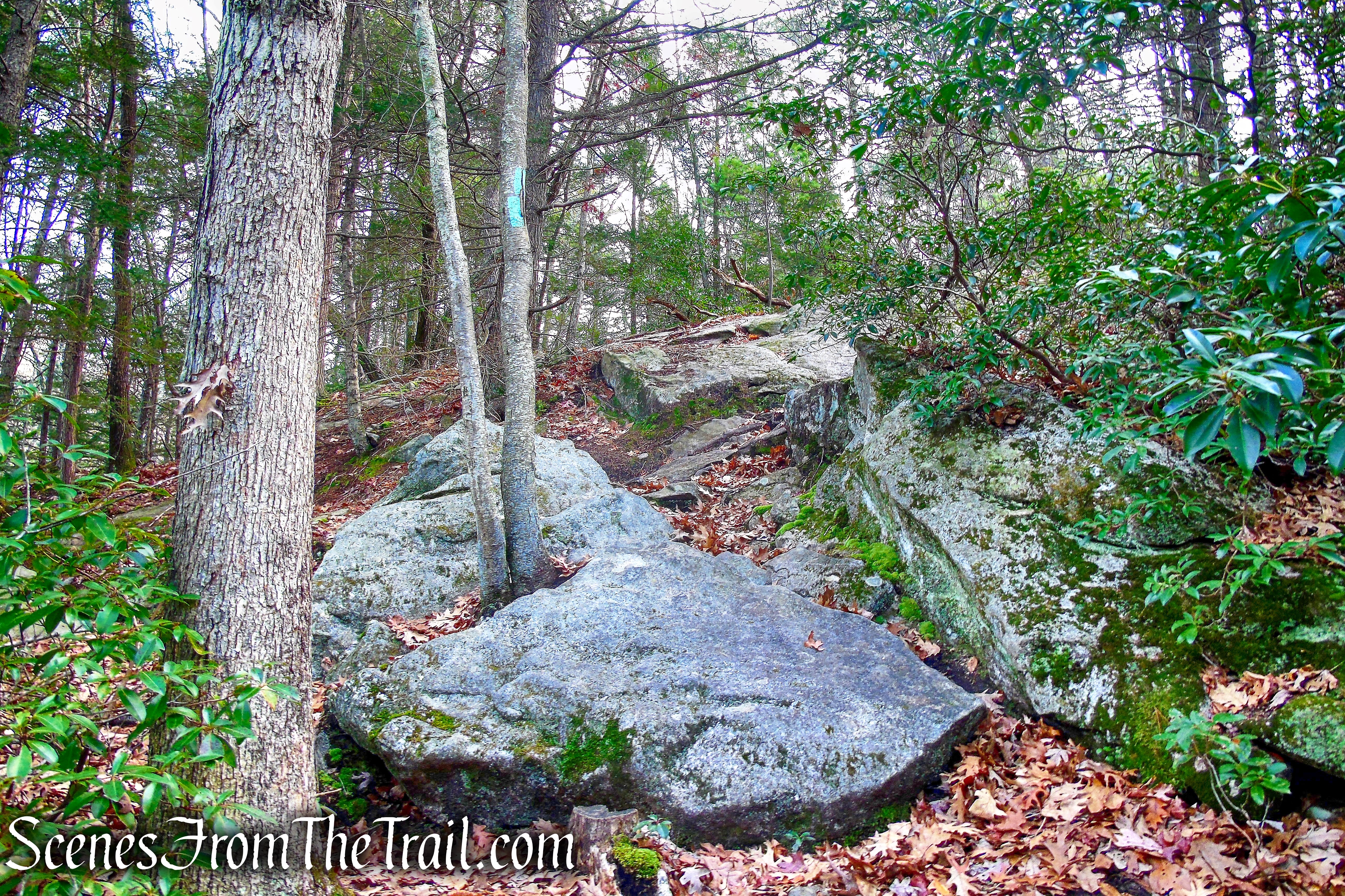 Mattatuck Trail – Mattatuck State Forest