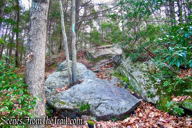 Mattatuck Trail – Mattatuck State Forest