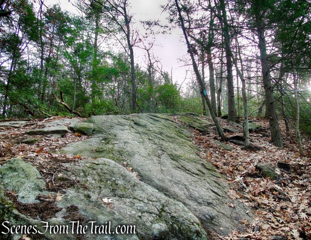 Mattatuck Trail – Mattatuck State Forest