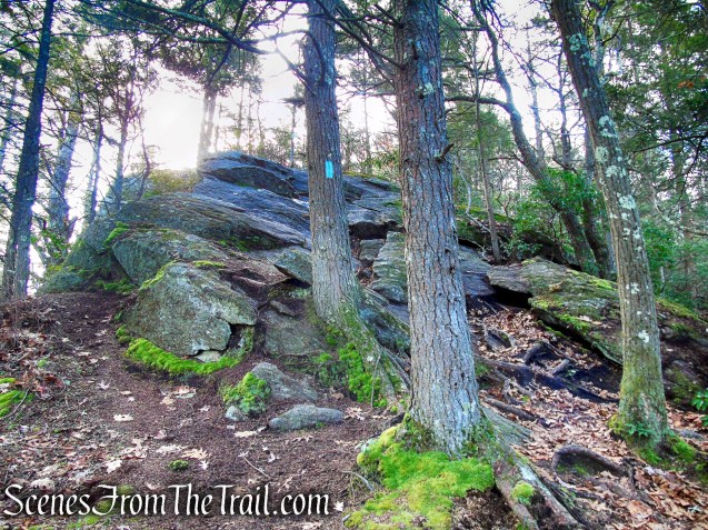 Mattatuck Trail – Mattatuck State Forest