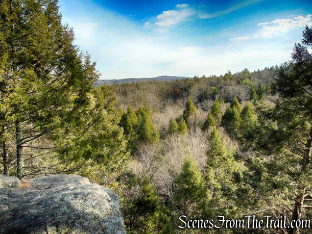 Mattatuck Trail – Mattatuck State Forest