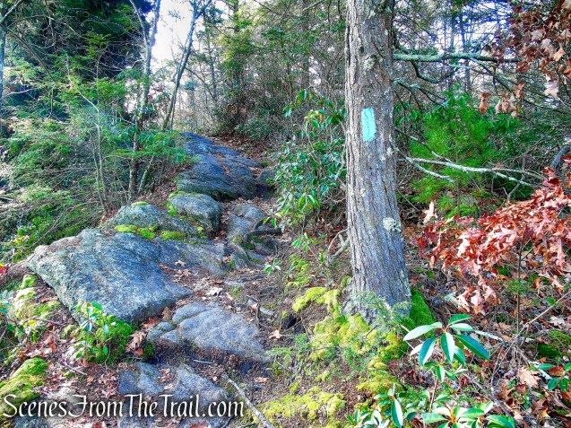 Mattatuck Trail – Mattatuck State Forest