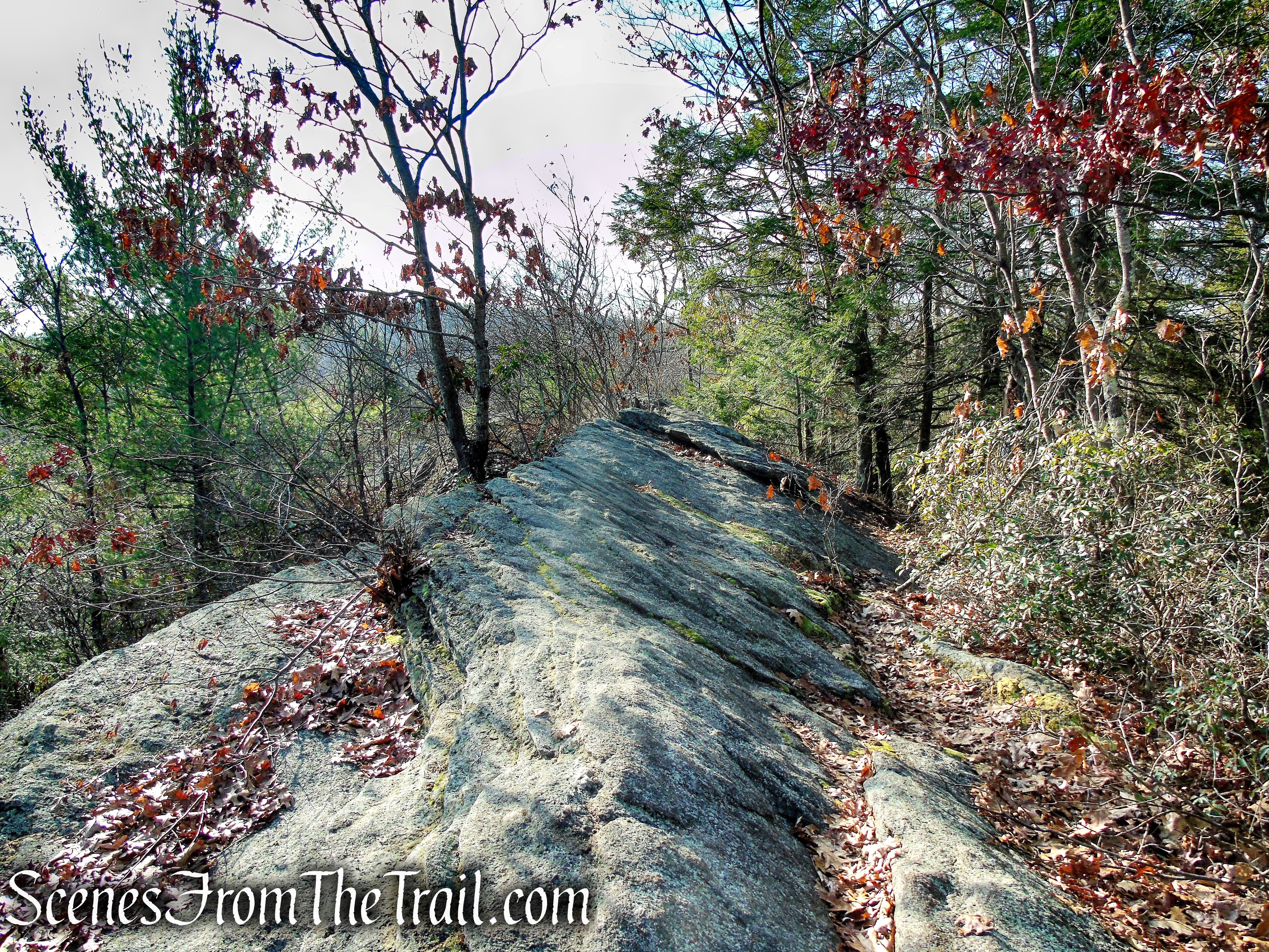 Mattatuck Trail – Mattatuck State Forest