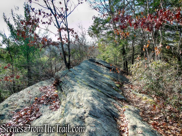 Mattatuck Trail – Mattatuck State Forest