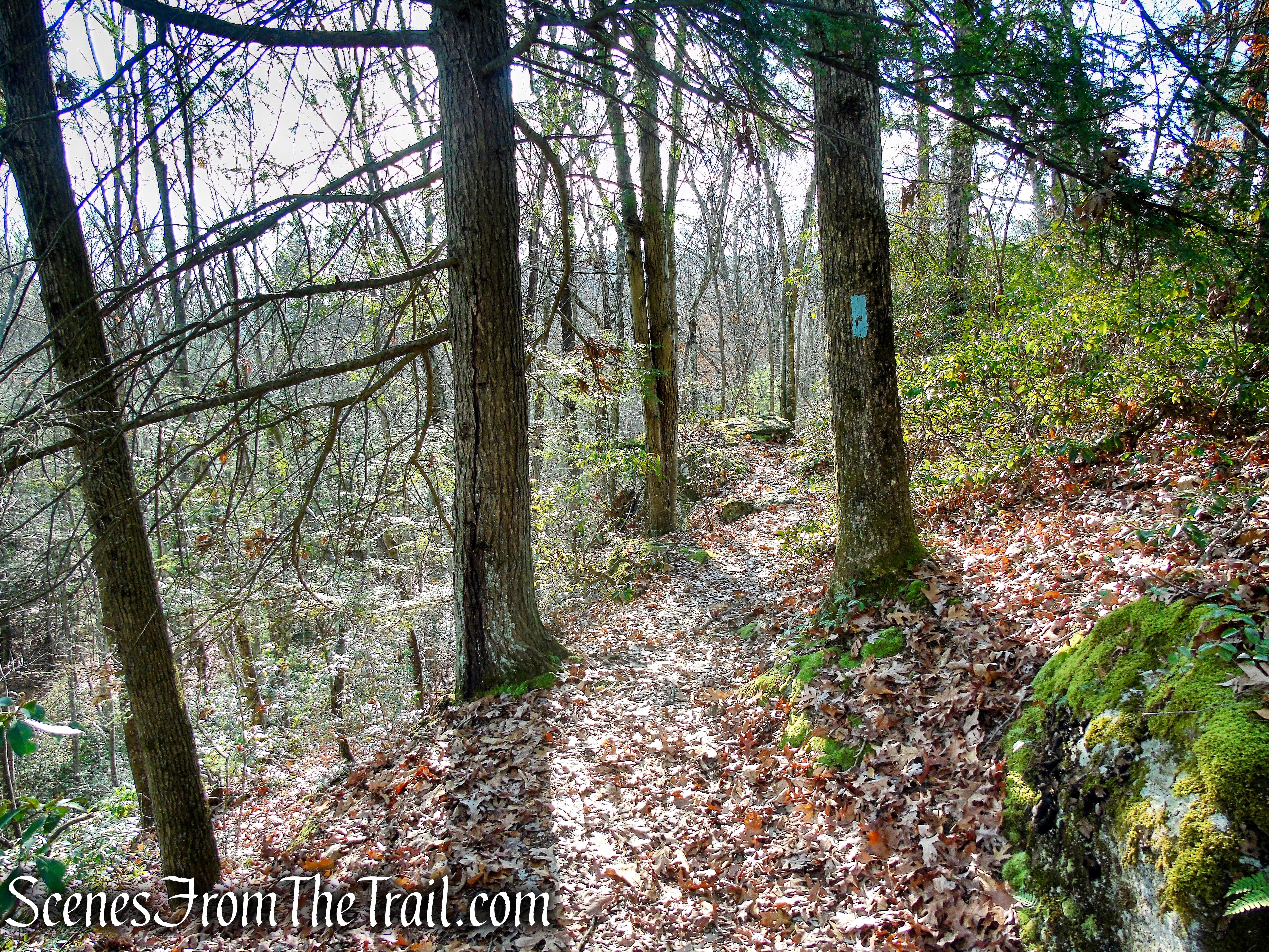 Mattatuck Trail – Mattatuck State Forest