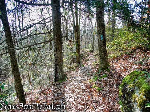 Mattatuck Trail – Mattatuck State Forest