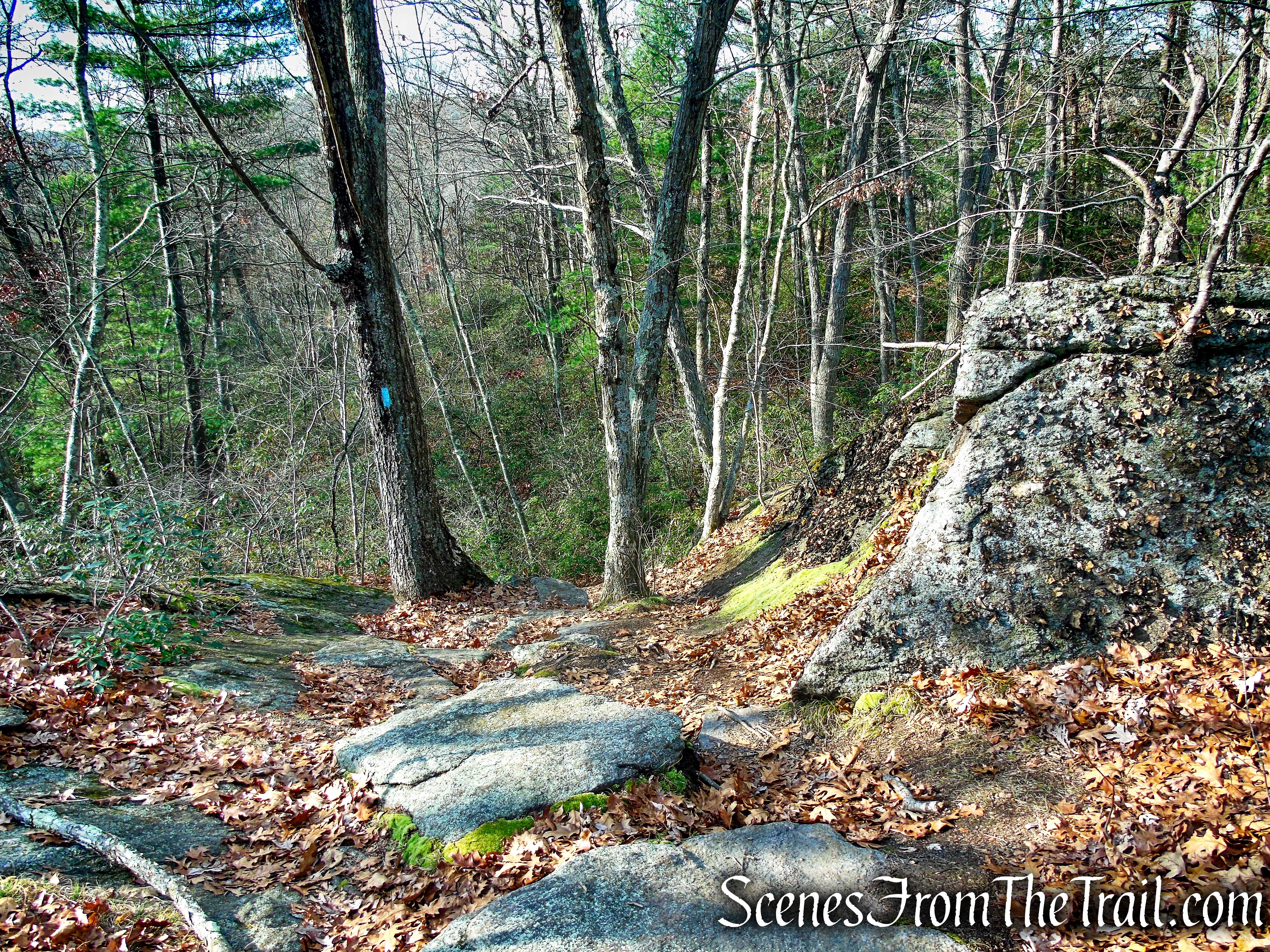 Mattatuck Trail – Mattatuck State Forest
