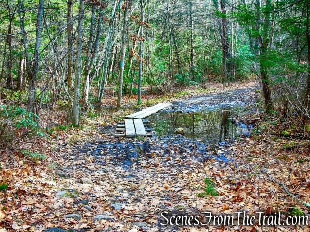 Mattatuck Trail – Mattatuck State Forest