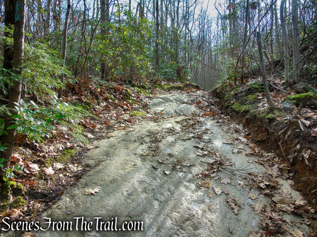 Mattatuck Trail – Mattatuck State Forest