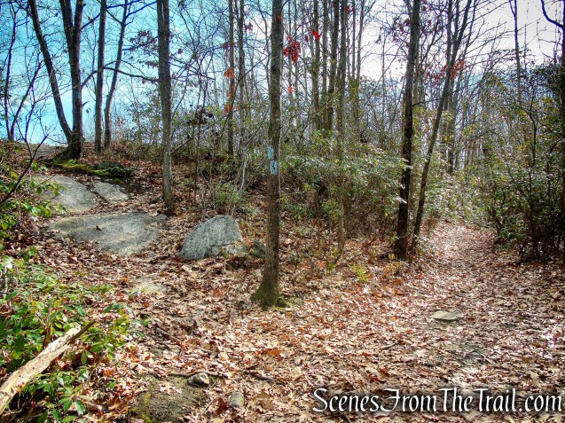 Mattatuck Trail – Mattatuck State Forest