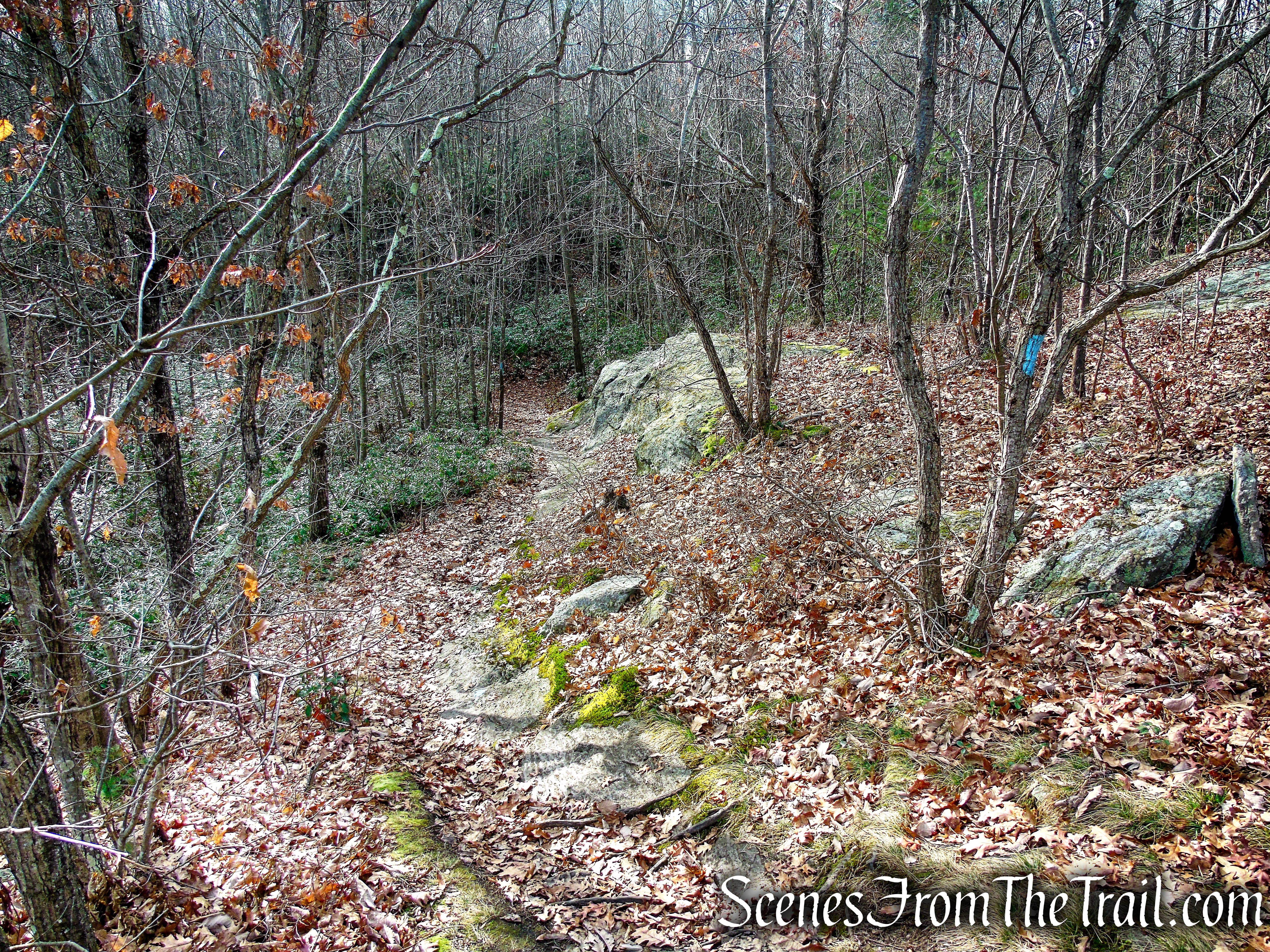 Mattatuck Trail – Mattatuck State Forest