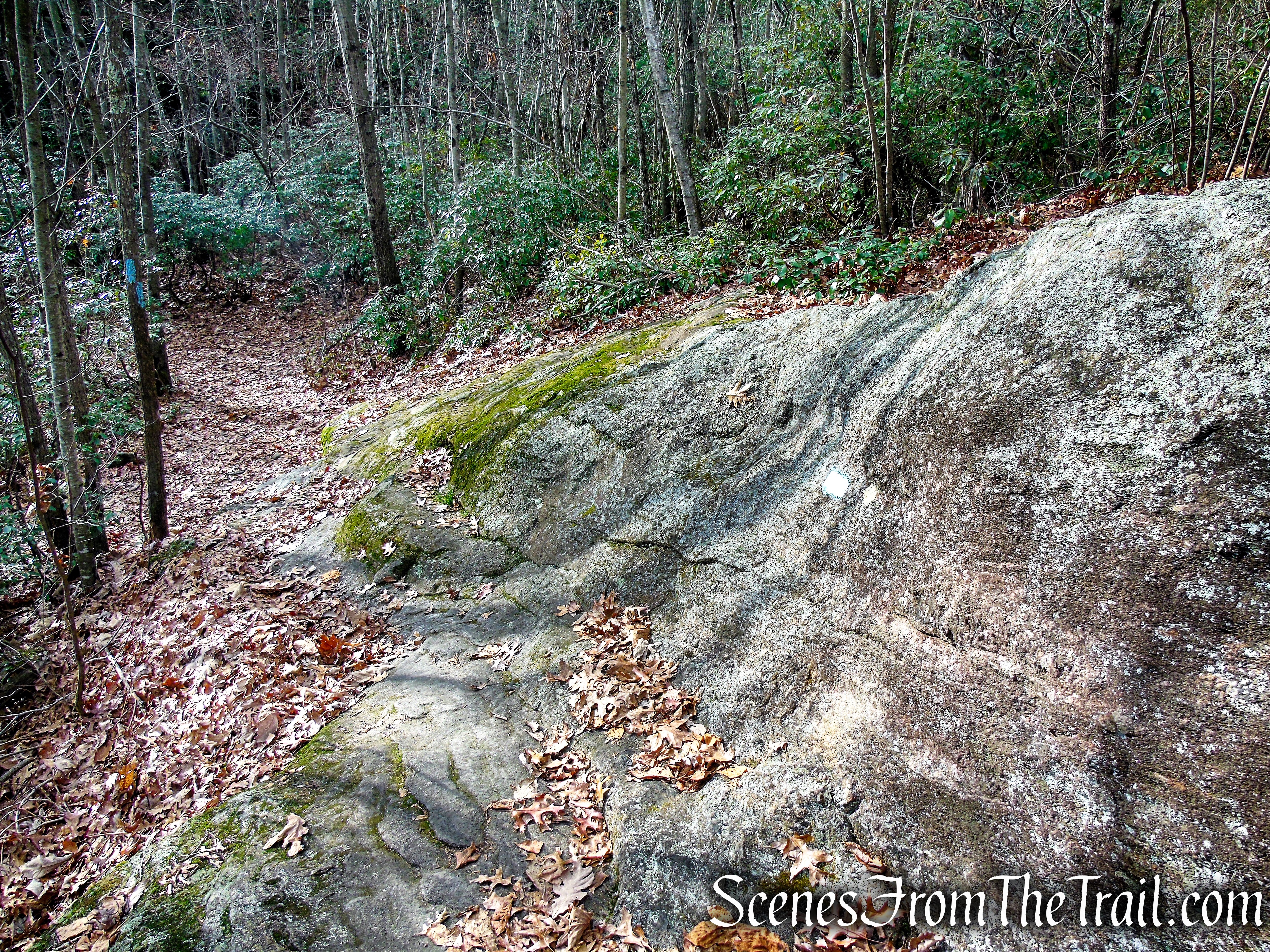 Mattatuck Trail – Mattatuck State Forest