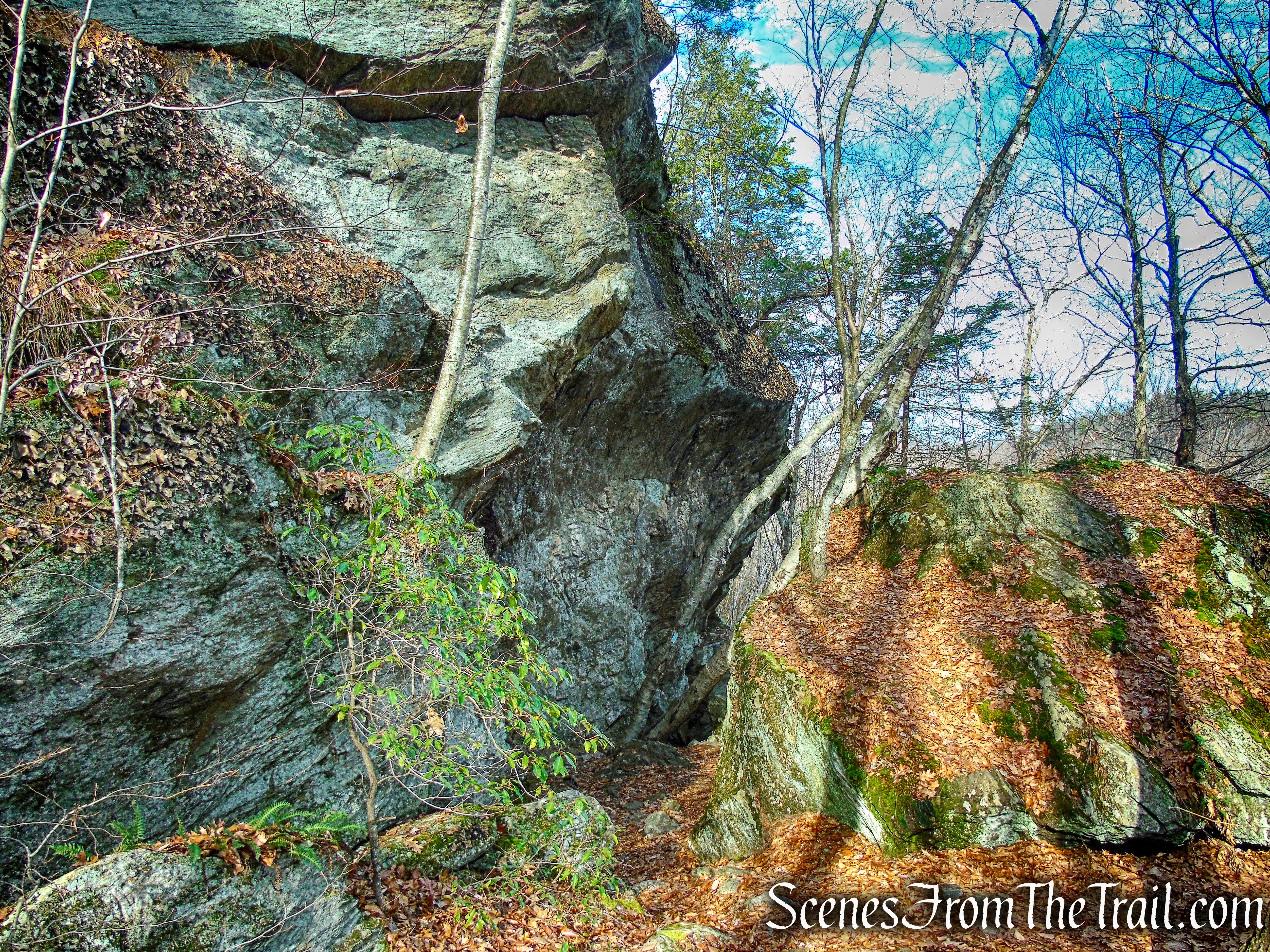 Mattatuck Trail – Mattatuck State Forest