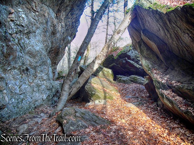 Mattatuck Trail – Mattatuck State Forest