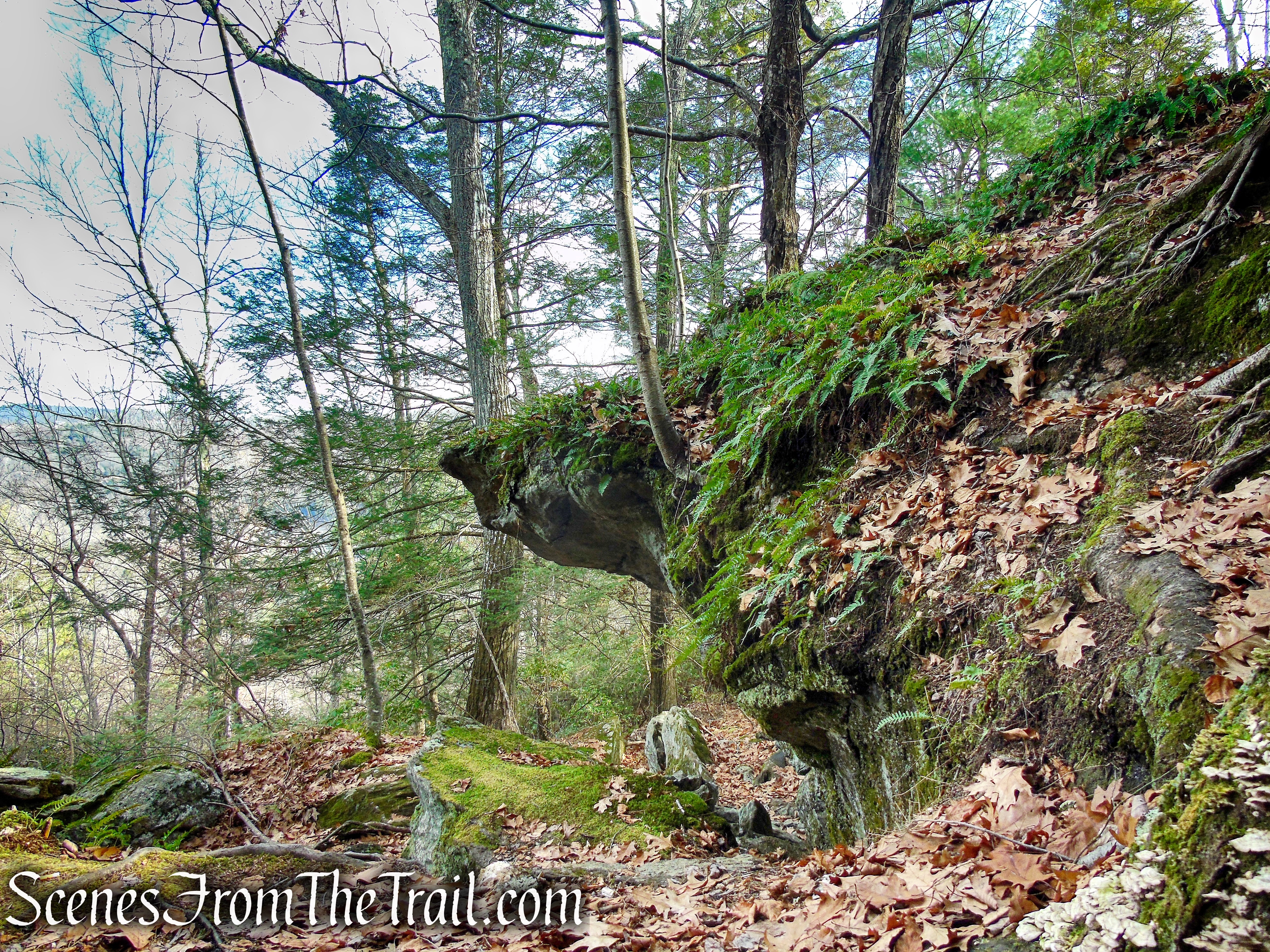 Mattatuck Trail – Mattatuck State Forest