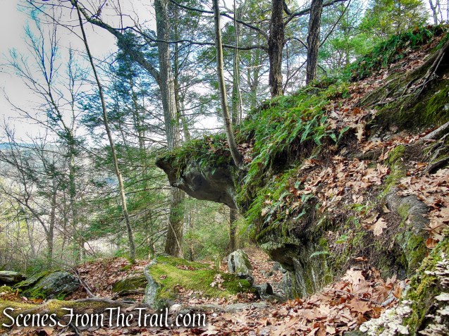Mattatuck Trail – Mattatuck State Forest