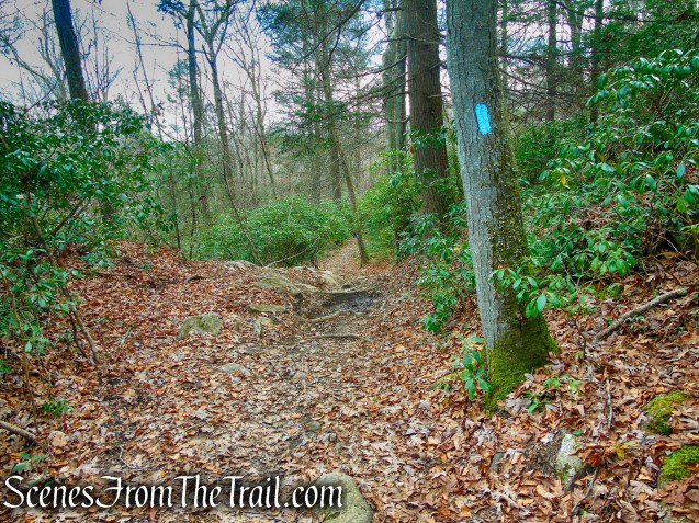 Mattatuck Trail – Mattatuck State Forest