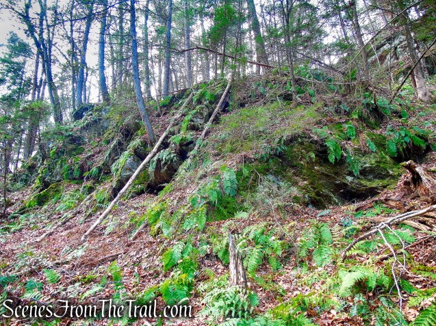 Mattatuck Trail – Mattatuck State Forest