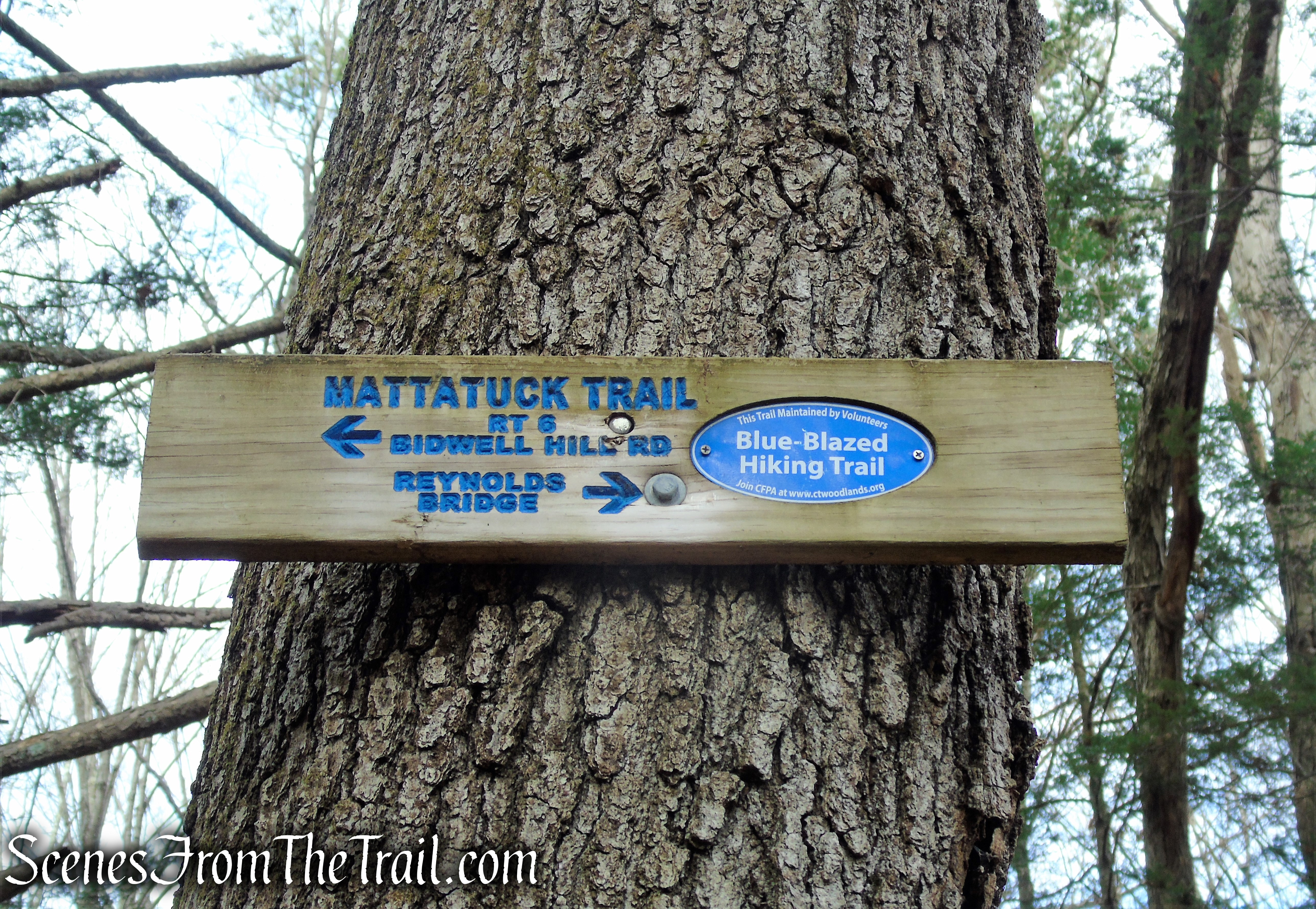 Mattatuck Trail – Mattatuck State Forest