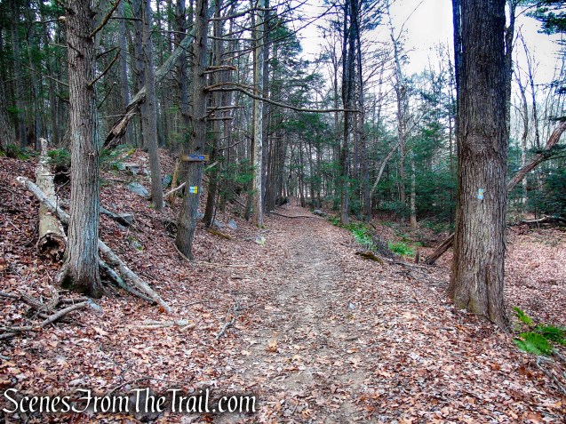 Branch Brook Trail – Mattatuck State Forest